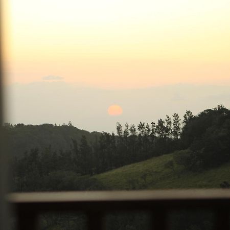 Hotel Bosque Verde Lodge Monteverde Pokój zdjęcie