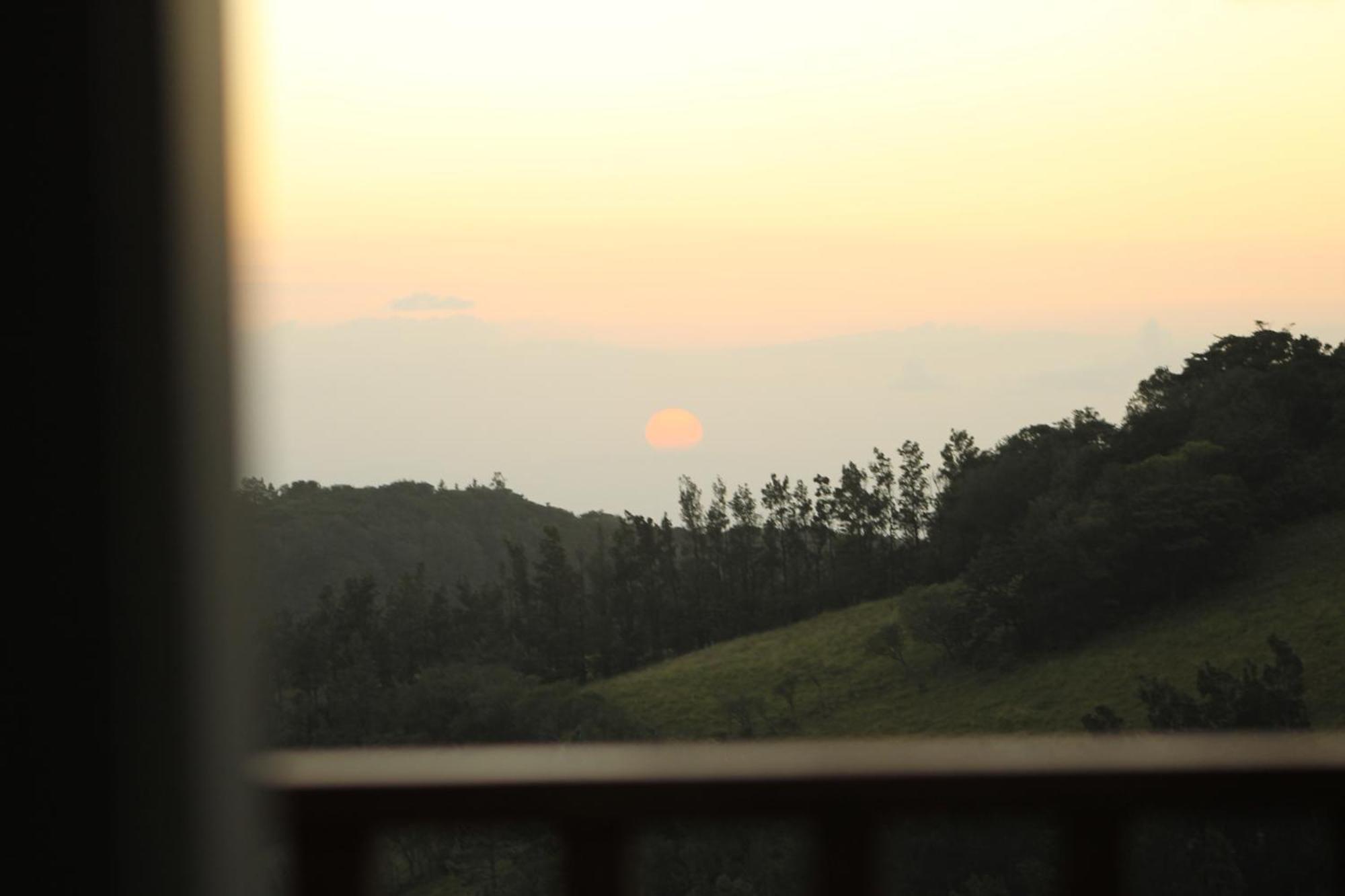 Hotel Bosque Verde Lodge Monteverde Pokój zdjęcie
