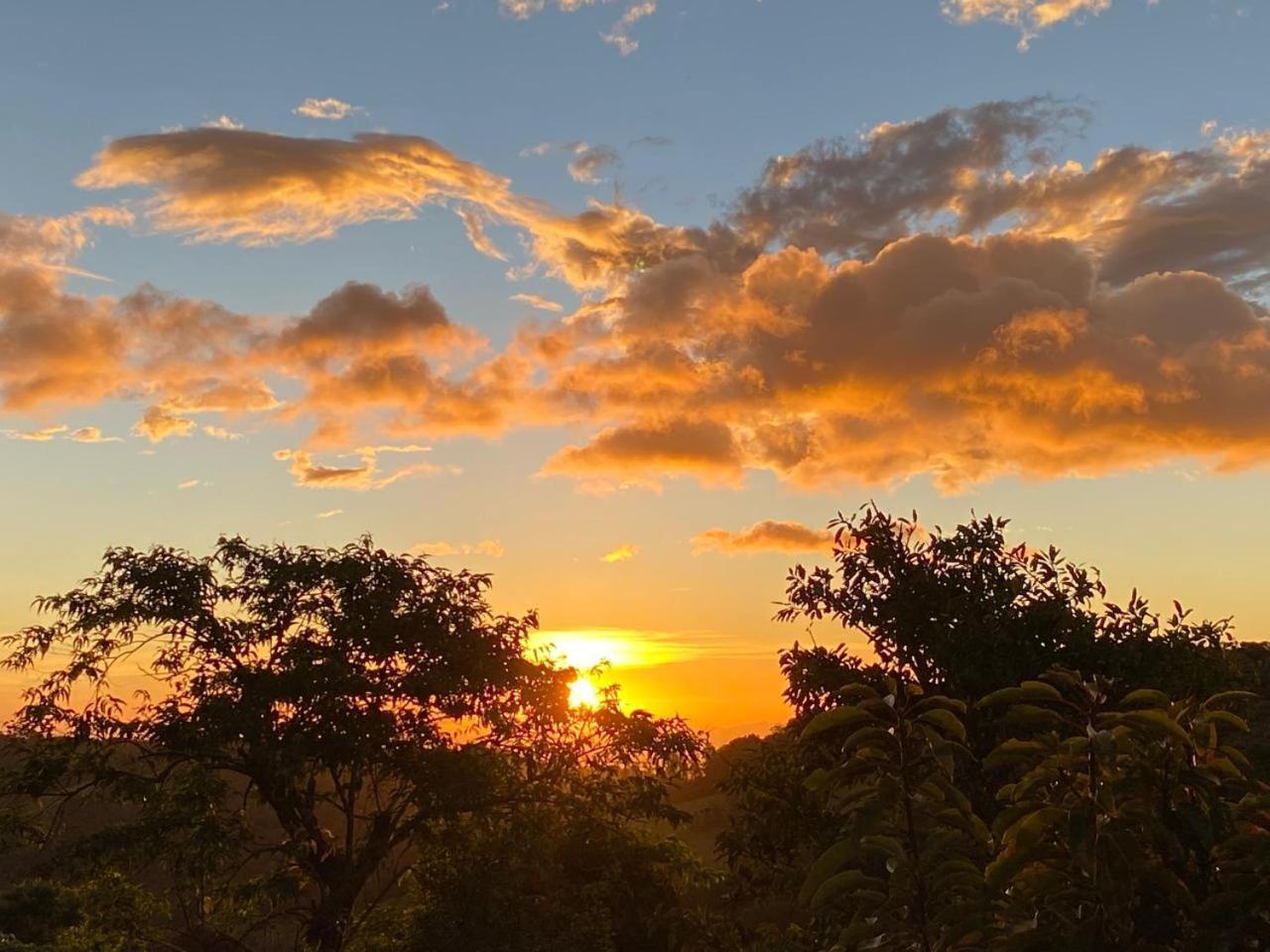 Hotel Bosque Verde Lodge Monteverde Zewnętrze zdjęcie