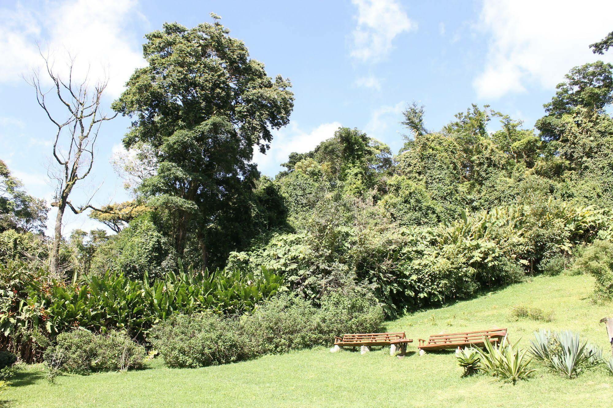 Hotel Bosque Verde Lodge Monteverde Zewnętrze zdjęcie
