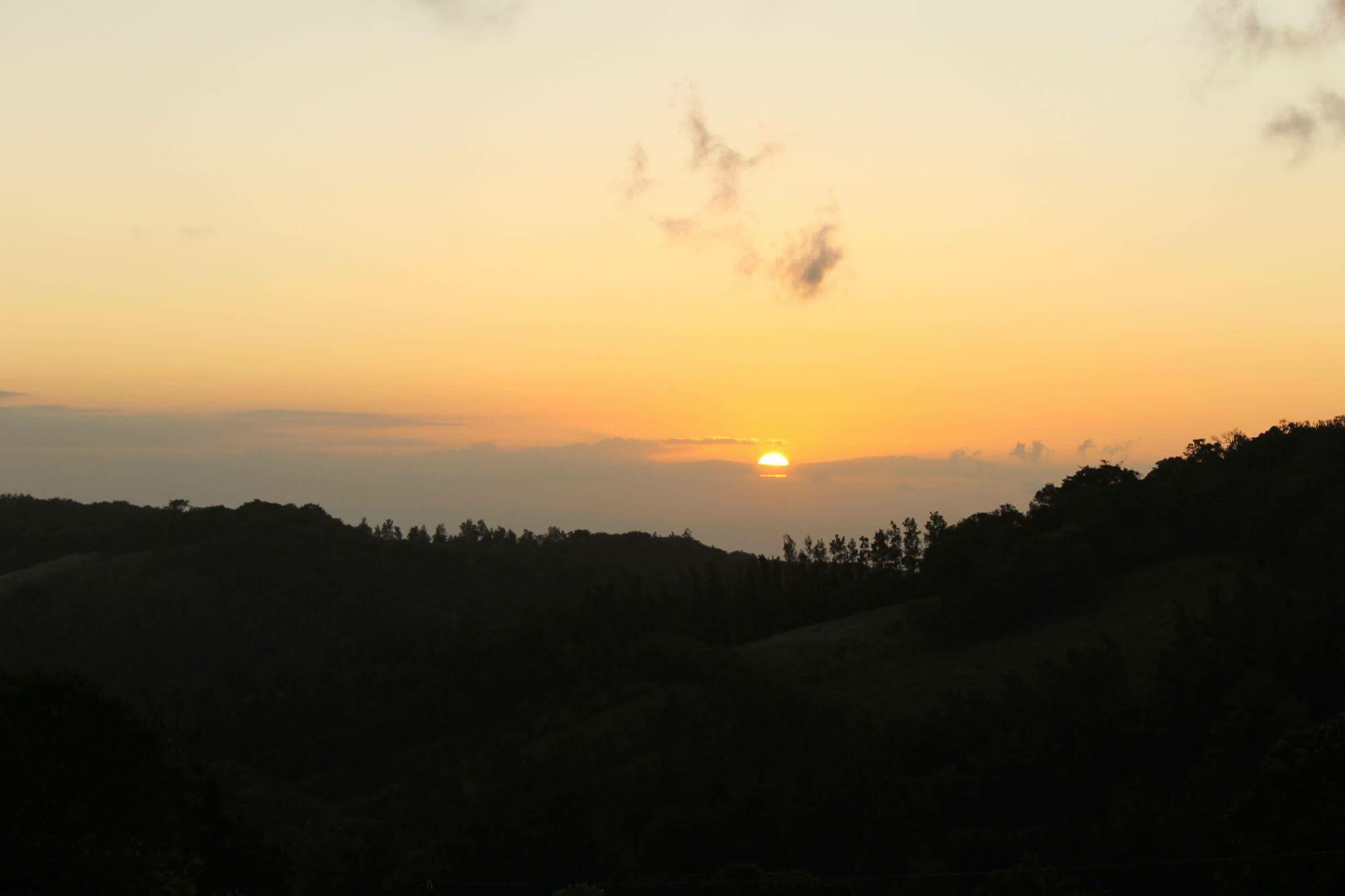 Hotel Bosque Verde Lodge Monteverde Zewnętrze zdjęcie